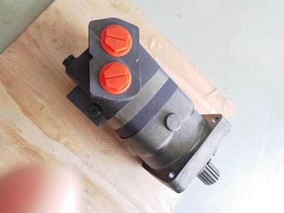 注塑机带刹车制动的液压马达 100/125/195/250/315/400